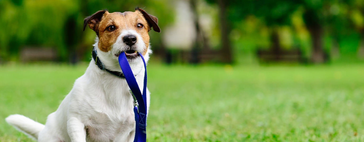 Petfriendly apartments in Walla Walla, WA The Lodge