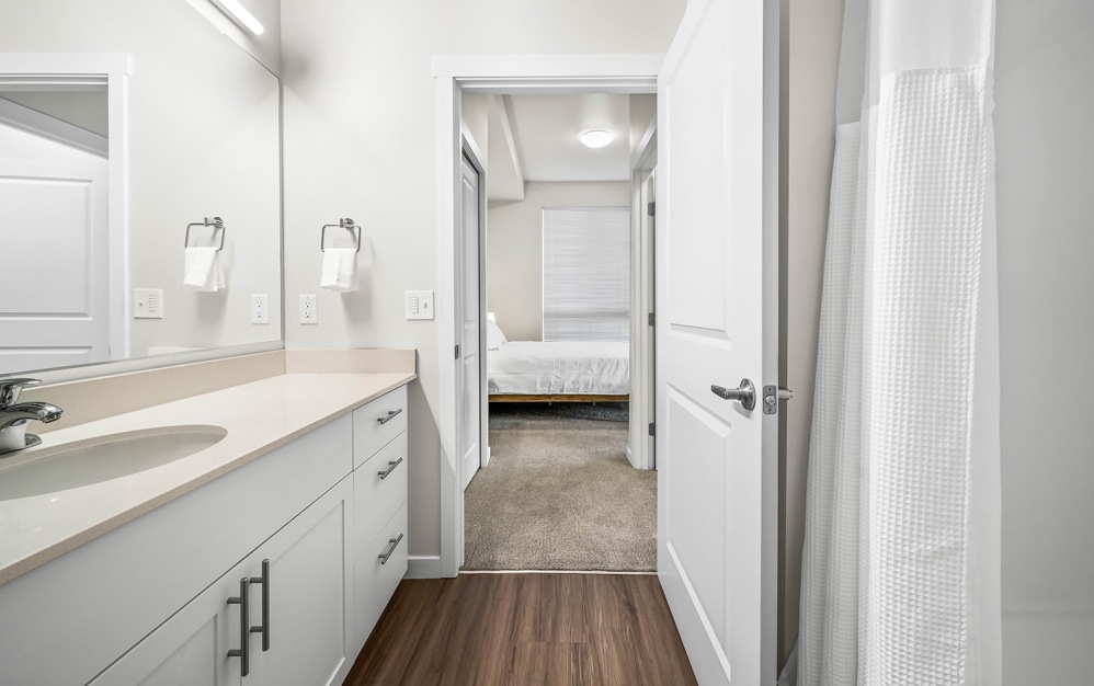 shower/tub combo in well lit bathroom