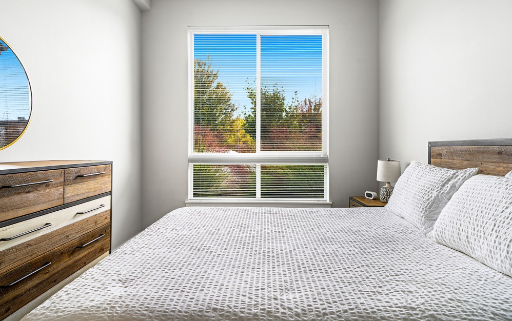 sun-filled bedroom