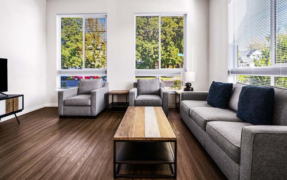 open, furnished living room full of natural light